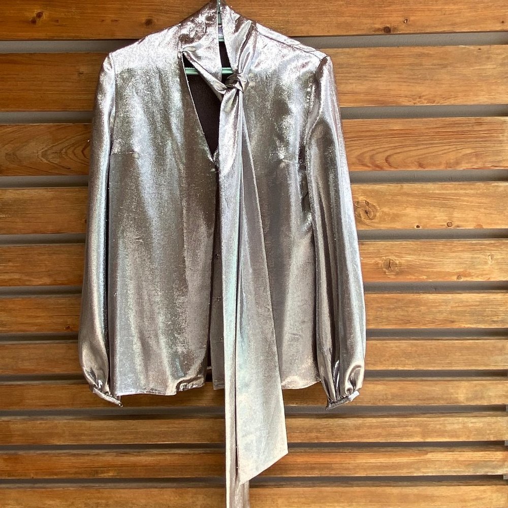 Racil Silk Silver Shimmer shirt NWOT
